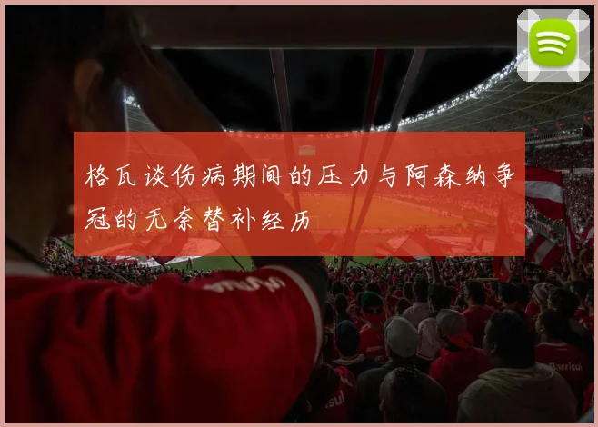 格瓦谈伤病期间的压力与阿森纳争冠的无奈替补经历