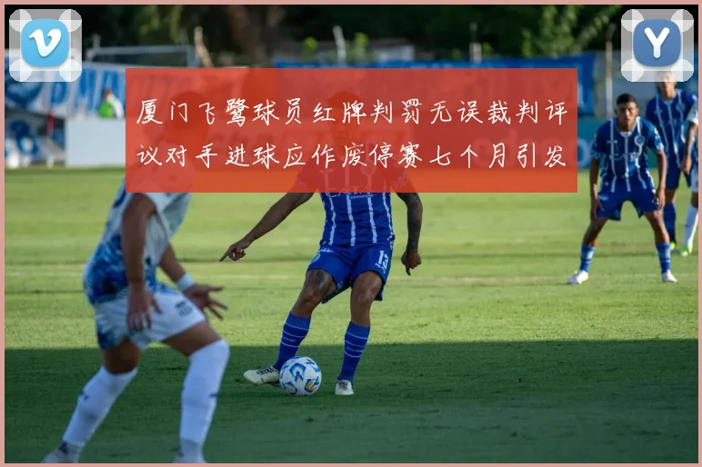 厦门飞鹭球员红牌判罚无误裁判评议对手进球应作废停赛七个月引发热议